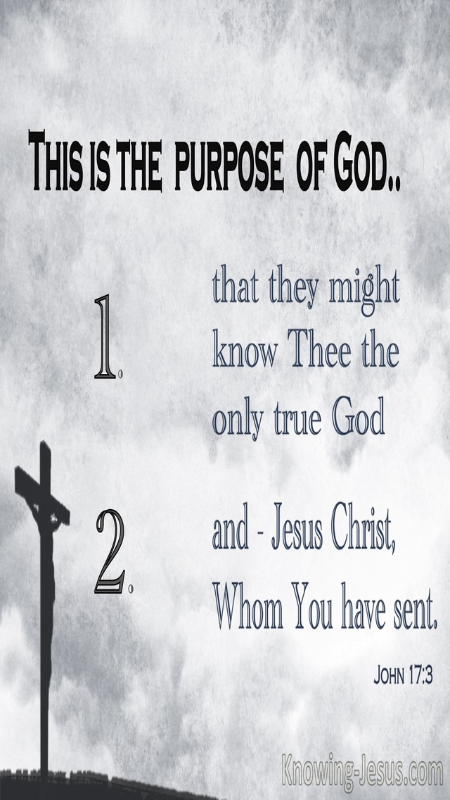 John 17:3 Cross Purposes (devotional)